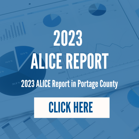 ALICE Report 