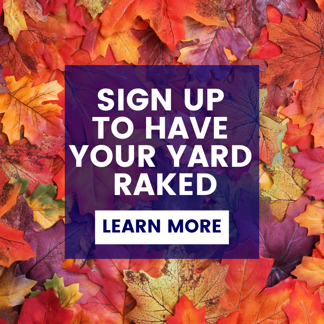 Sign up to have your yard raked