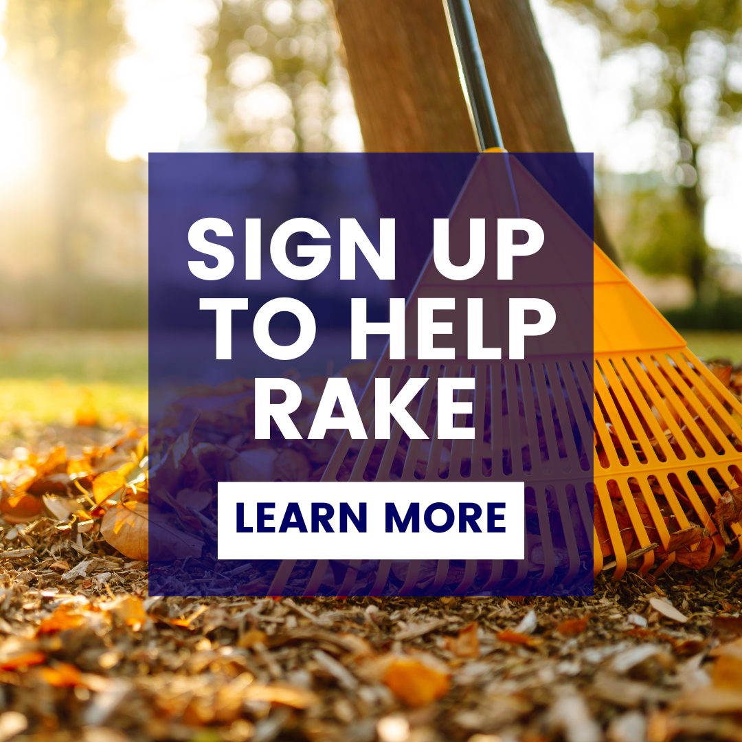 Sign up to help rake